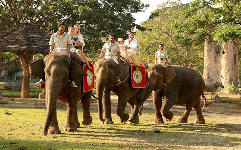 Elephant Ride and Ubud Tours