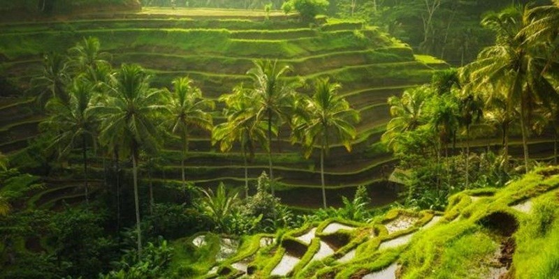 Bali Tour Package 6 Days 5 Nights
